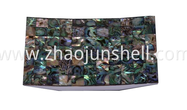 paua shell towel tray